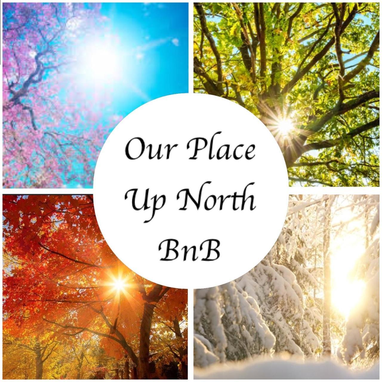 Our Place Up North Bnb Гантсвілл Екстер'єр фото